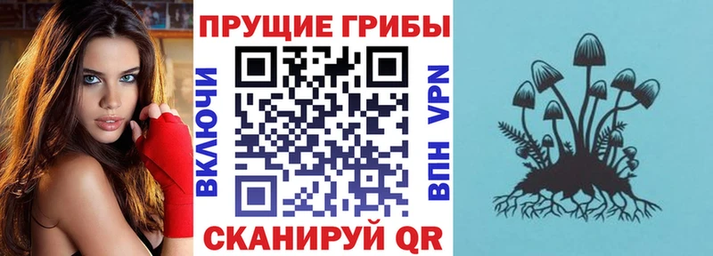 Галлюциногенные грибы Magic Shrooms  Абакан 